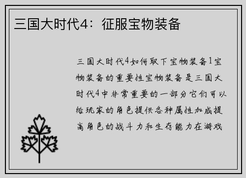 三国大时代4：征服宝物装备